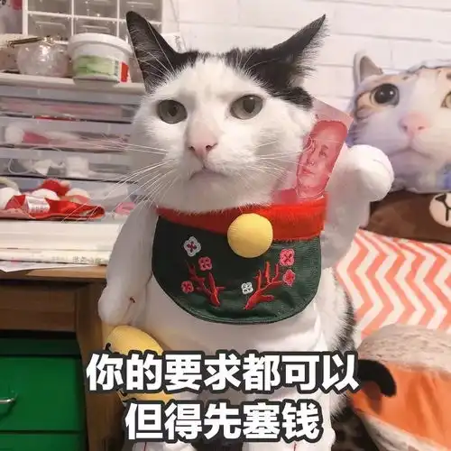  猫咪表情包我等的喵在多远的未来养猫