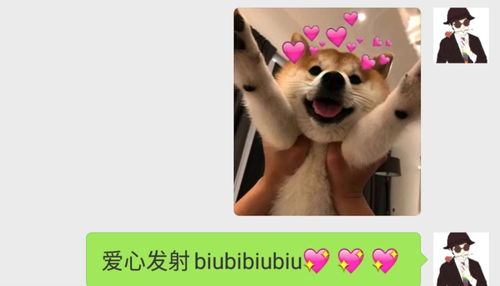  情侣间的聊天截图能刺激到什么程度哈哈哈哈哈哈可怕