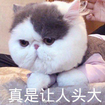  温度记广式冰镇鸡腿来了4股冷空气扎堆逼近