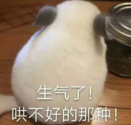 矮油表情包生气