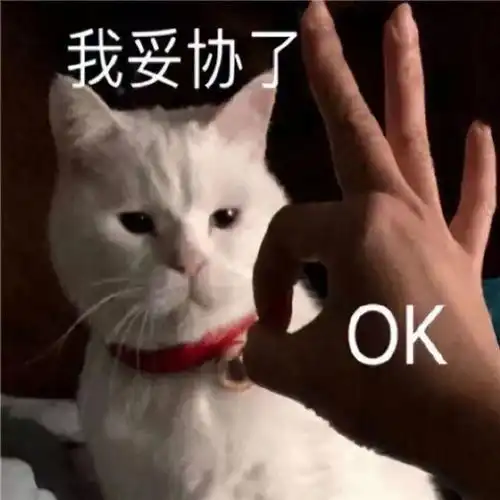 求职图片表情包招聘