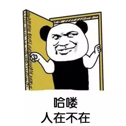  别再搞我啦我太难了