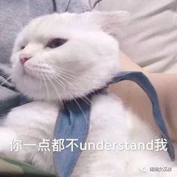  不关自己事也会跟着生气的星座