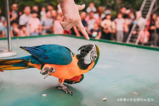  周末不远游,在这里与家人共度温馨假期
