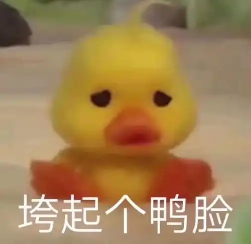 鸭表情包原版小黄鸭