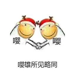  你老婆去做头发了表情包下载飞翔下载