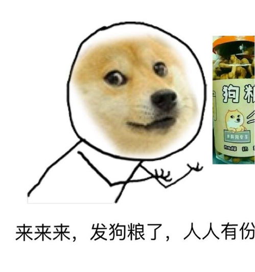  什么样的才是好狗粮狗狗吃对狗粮很重要