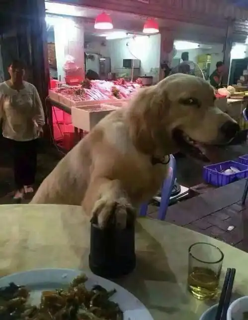 摇骰子表情包恶搞摇起来