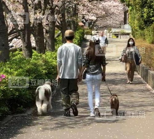 情侣头像手牵手行走