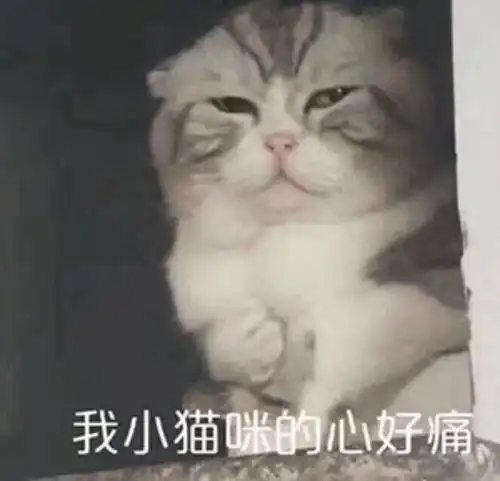  作为一个广东人到外省读书是什么体验