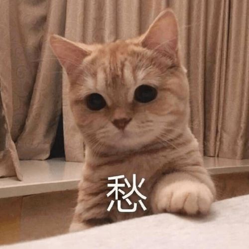  今天文科楼有点震震震震震震......