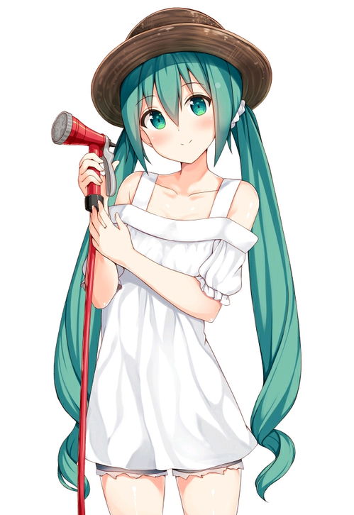  初音未来二次元美图壁纸最美不过公主殿下