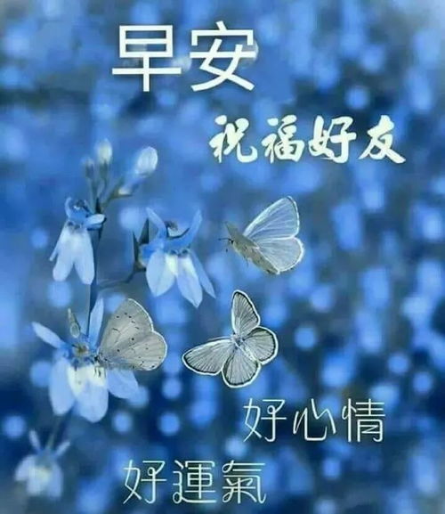  透明图片怎么发给别人微信群发祝福朋友早上好表情动态图片带字,最美的清晨早上好问候语图片表情...