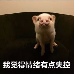  看懂这5点,你就知道周杰伦演唱会小仙女怼的不是前男友