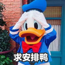  五一小长假去哪儿玩南宁各大景区都有精彩活动哦