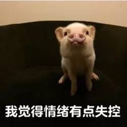  井冈山是打虎的地方达康书记守护非洲gdp建军大业战狼2这些笑吐血的影评等你来参与
