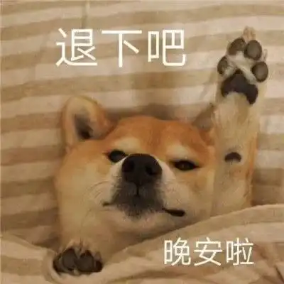  怼人表情包