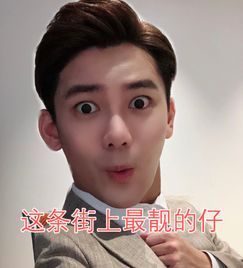  手机里熊梓淇表情包