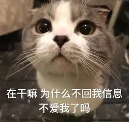  聊天逗趣专用表情包我这无处安放的魅力