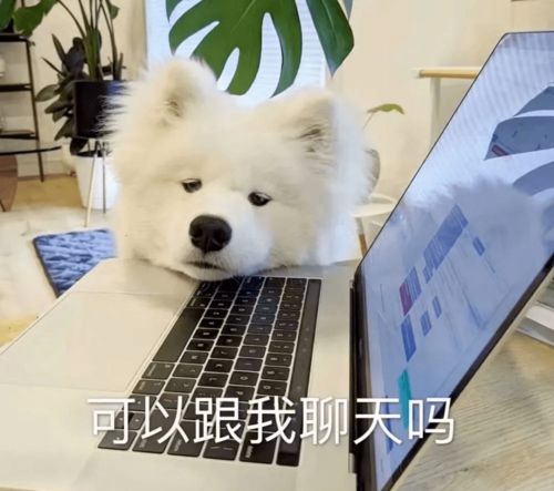  今天发的是36个抖音超火表情包耶