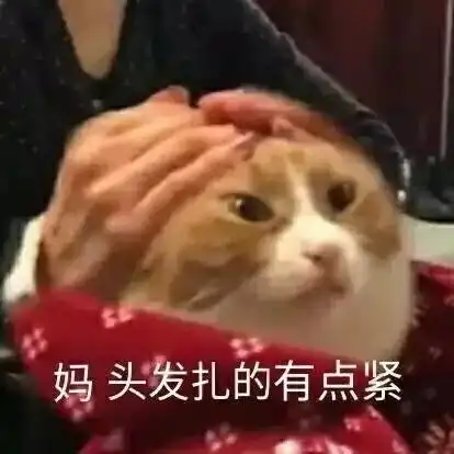 不是猝死是脱发表情包刘