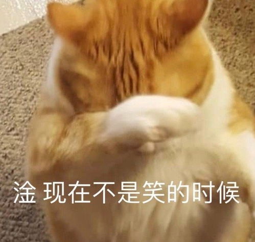  沙雕表情包l就很离谱