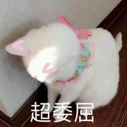  这8支50元左右的平价唇釉,不仅颜色美还比口红更持久