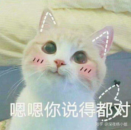  2020年第一次去女朋友家见家长,应该带哪些礼物合适又体面2020年双十一更新版