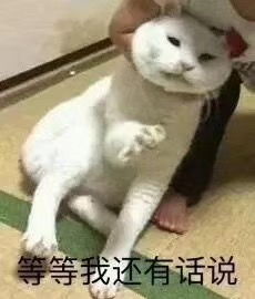  恕我胖虎拒绝表情包图片无情嘲笑哈哈哈表情包下载乐游网游戏下载