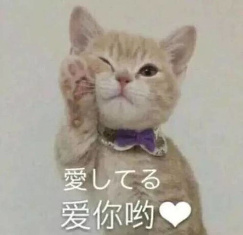  这些很火很萌的表情包,你还没有吧
