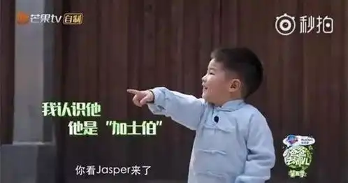  为了引爆话题赚足眼球,爸爸去哪儿这5年都做了哪些改变