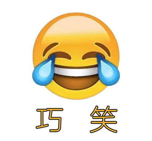 巧笑一款人脸动态表情生成app搜狗百科