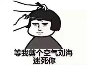  你的发量,还能再读博吗