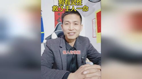  傻人有傻福,阴险狡诈最后都没落到一个好下场