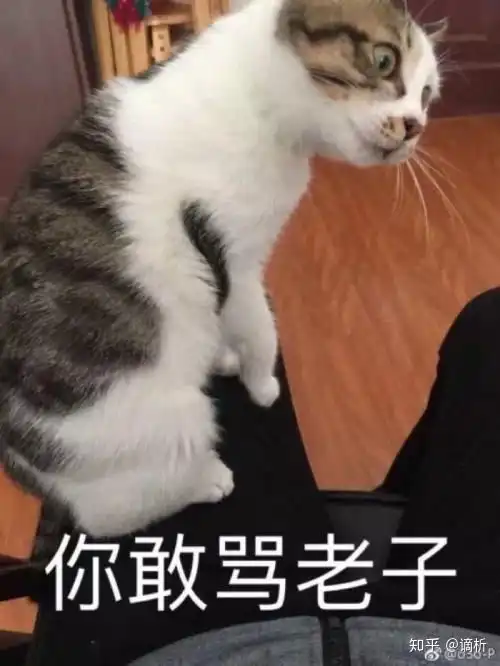  别人当面阴阳怪气羞辱你时,你该怎么办