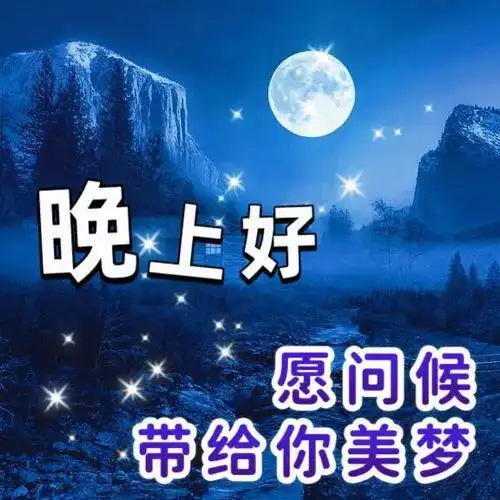  晚上好图片,晚安问候祝福语,晚上好问候表情包
