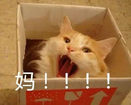  潮州妈妈的双重标准