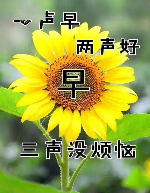  最新版非常漂亮的早上好表情图片温馨早安心语语录