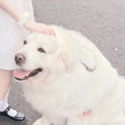  冷门情侣头像二人专用,冷门又好看的情头