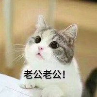  猫猫头像表情包微信头像图片大全