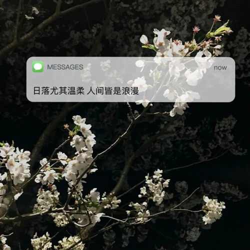  文案简单且温柔的文案