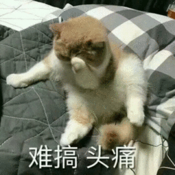  怎样投胎作者王思聪图片老子要亲死你表情包图片下载乐游网游戏下载