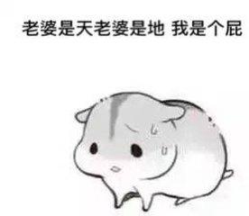  开心一刻哄老婆必备表情包你值得拥有