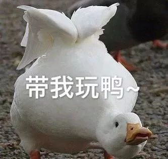  没想到12星座都是这样的第一名