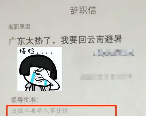  00后离职申请火了,一个敢写一个敢批,连面子话也懒得说