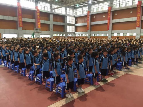  塘厦萌娃今天迎来开学日,各类神情犹如表情包