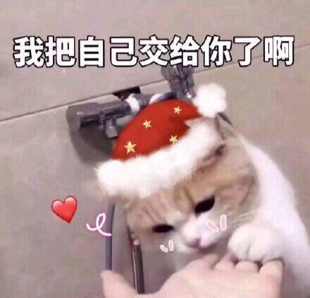  结婚攻略婚礼当天,做好这7步让你拍出好莱坞大片感觉,快来学习吧