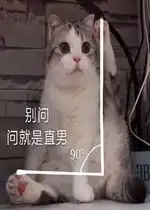  我来了