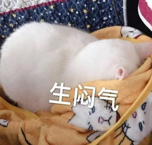  笑话段子看见冒牌女友和我那个未来姐夫在聊天