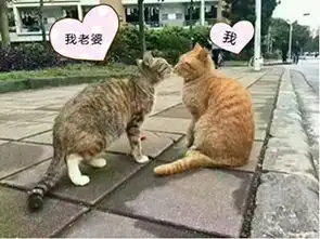  不怕老王有文化,就怕老王耍流氓